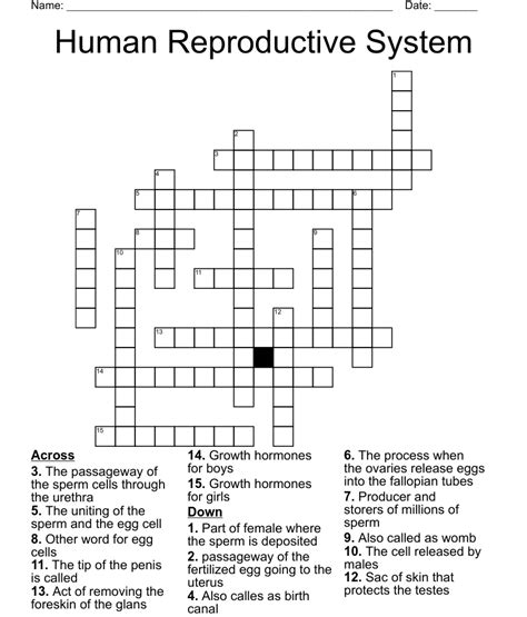 The NYTimes <strong>Crossword</strong> is a classic <strong>crossword</strong> puzzle. . Reproductive cell crossword clue
